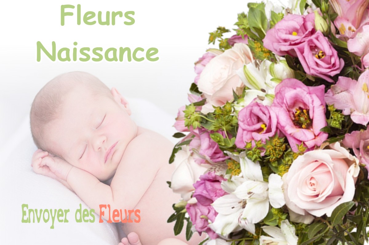 lIVRAISON FLEURS NAISSANCE à LE-PONT-DE-CLAIX